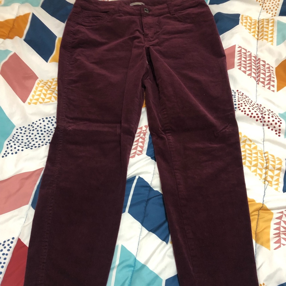 Maurices wine skinny cords